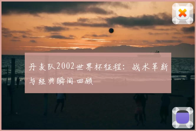 丹麦队2002世界杯征程：战术革新与经典瞬间回顾
