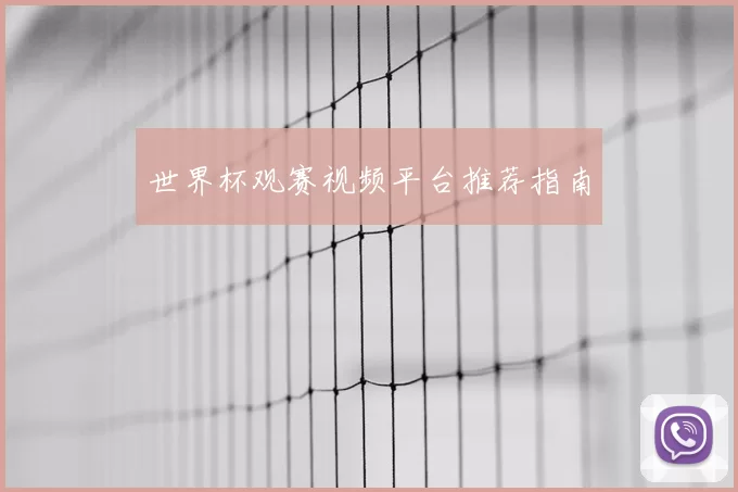 世界杯观赛视频平台推荐指南
