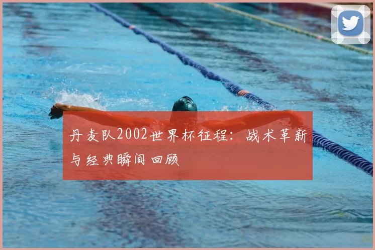 丹麦队2002世界杯征程:战术革新与经典瞬间回顾