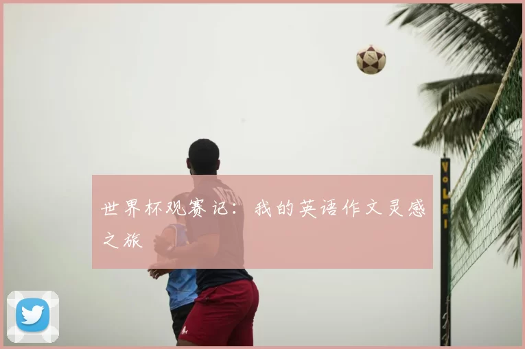 世界杯观赛记：我的英语作文灵感之旅