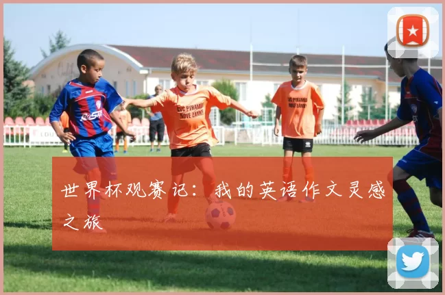 世界杯观赛记：我的英语作文灵感之旅