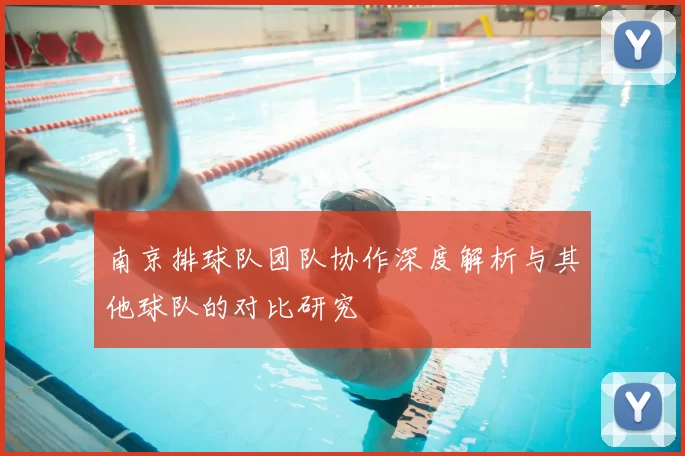 南京排球队团队协作深度解析与其他球队的对比研究