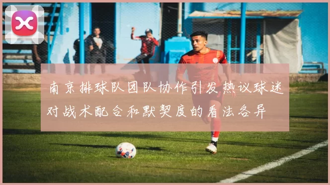 南京排球队团队协作引发热议球迷对战术配合和默契度的看法各异