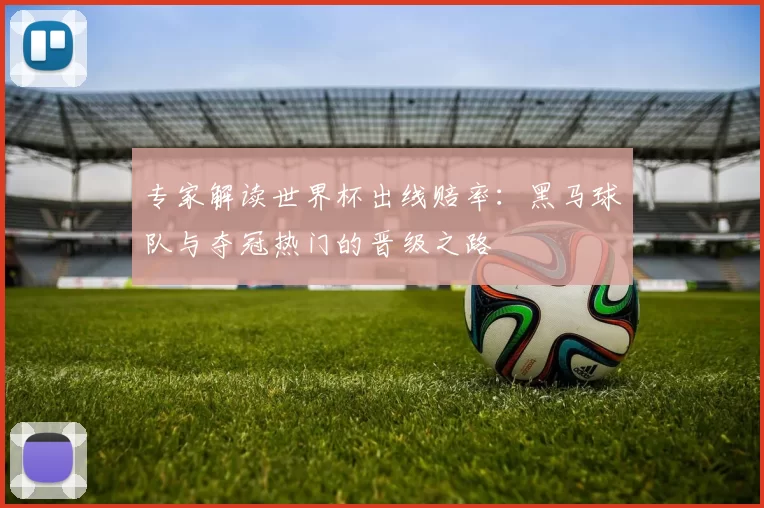 专家解读世界杯出线赔率：黑马球队与夺冠热门的晋级之路