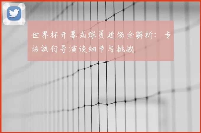 世界杯开幕式球员进场全解析：专访执行导演谈细节与挑战