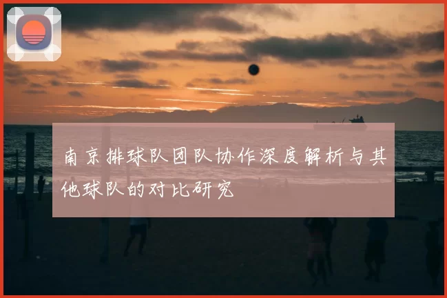 南京排球队团队协作深度解析与其他球队的对比研究