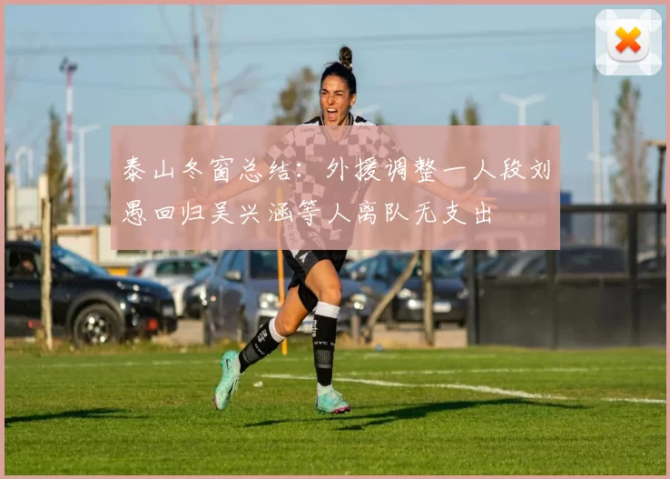 泰山冬窗总结:外援调整一人段刘愚回归吴兴涵等人离队无支出