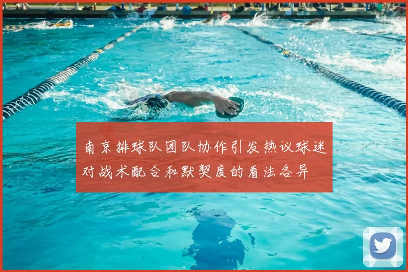 南京排球队团队协作引发热议球迷对战术配合和默契度的看法各异