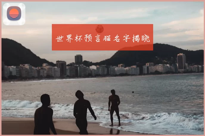世界杯预言猫名字揭晓