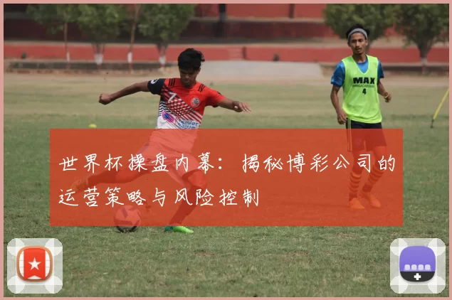 世界杯操盘内幕：揭秘博彩公司的运营策略与风险控制