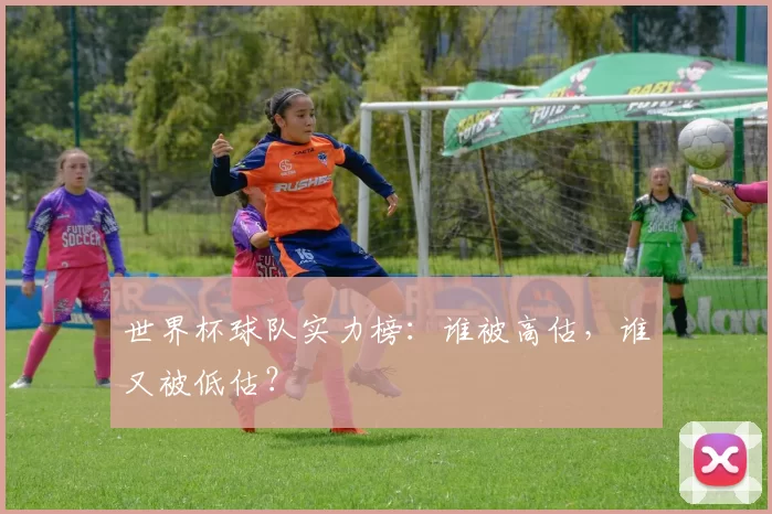 世界杯球队实力榜：谁被高估，谁又被低估？