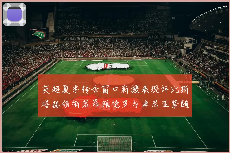 英超夏季转会窗口新援表现评比斯塔赫领衔若昂佩德罗与库尼亚紧随其后