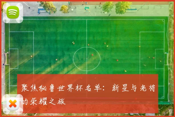 聚焦秘鲁世界杯名单：新星与老将的荣耀之旅