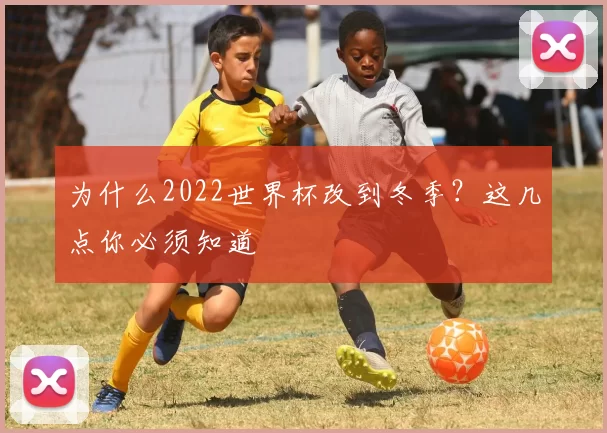 为什么2022世界杯改到冬季？这几点你必须知道