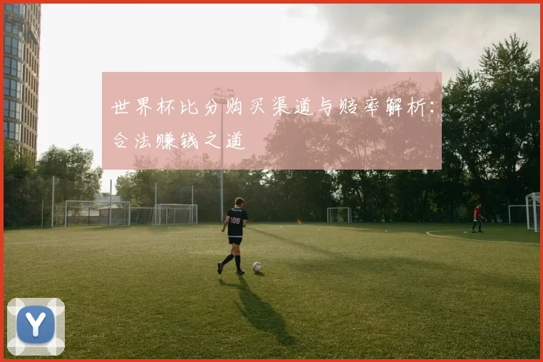 世界杯比分购买渠道与赔率解析：合法赚钱之道