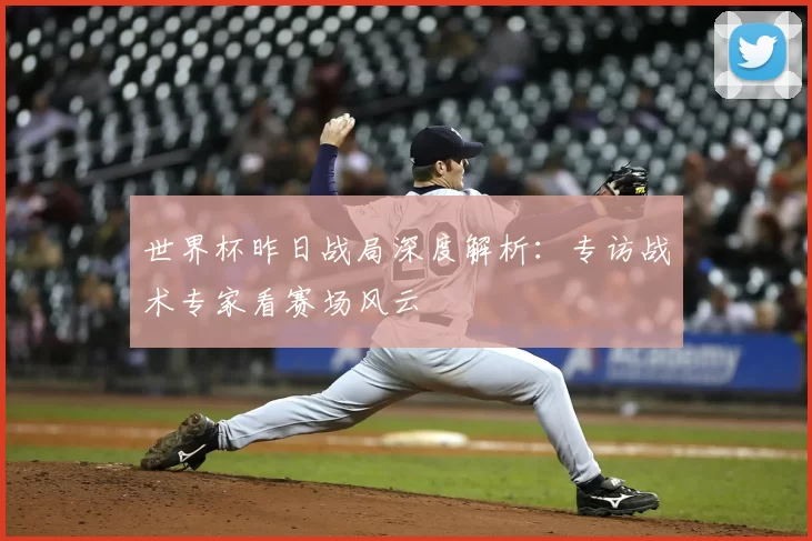世界杯昨日战局深度解析:专访战术专家看赛场风云